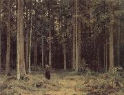 Ivan Shishkin Countess Mordinovas-Forest Peterhof oil painting on canvas